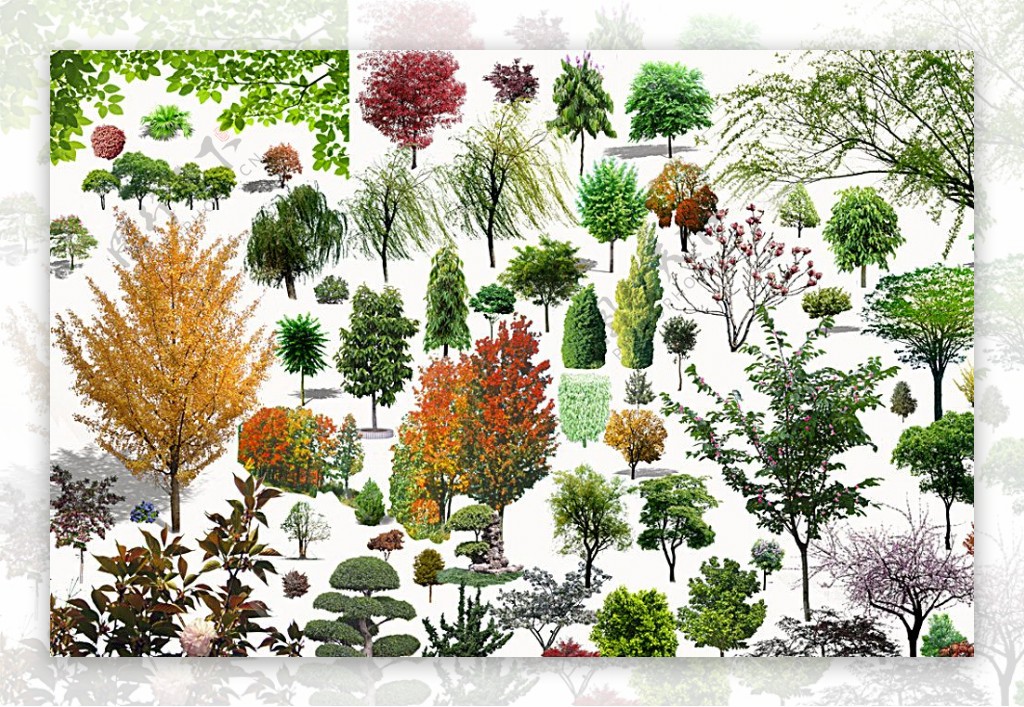 植物景观PSD素材图片
