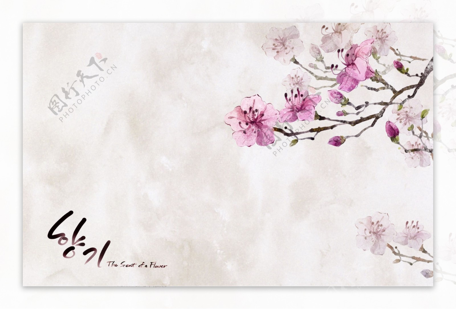 韩版手绘花朵