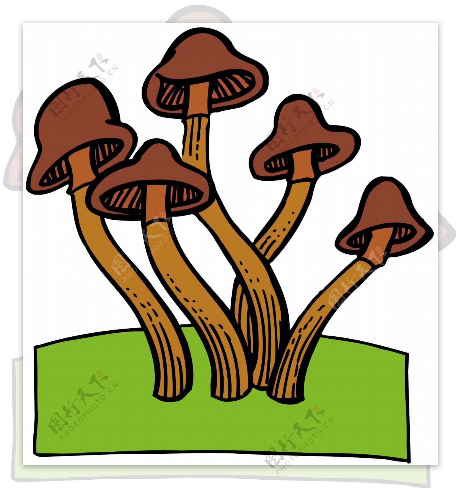 蘑菇植物矢量EPS0067
