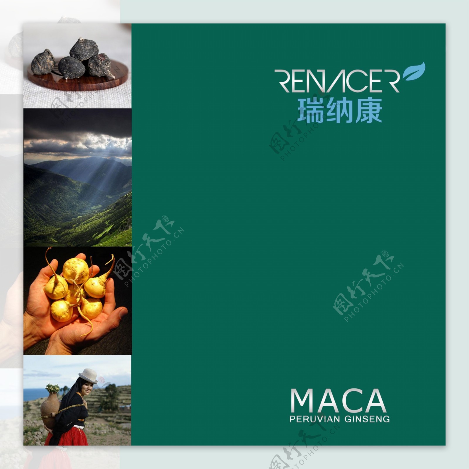 封面保健品宣传册玛卡环保