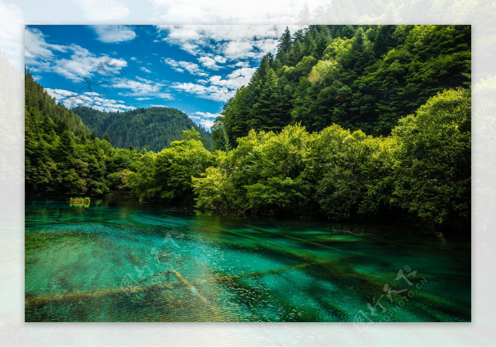 夏日四川九寨沟风景