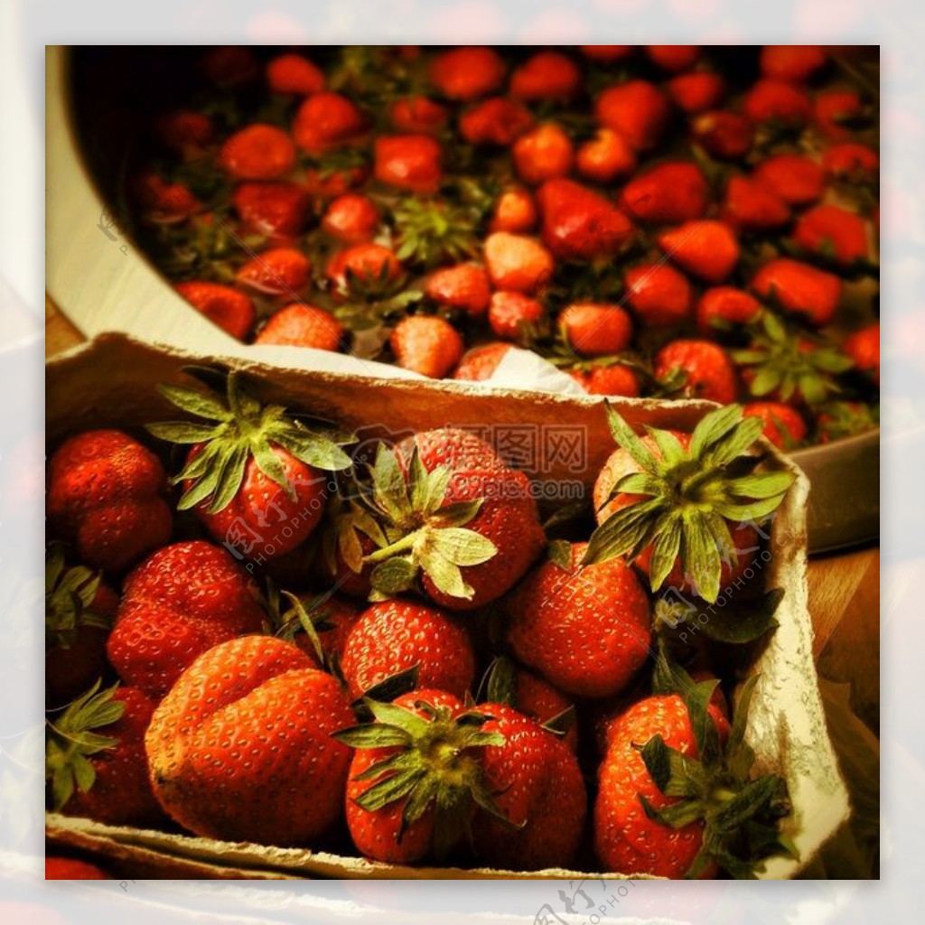 摘红草莓高清摄影大图-千库网