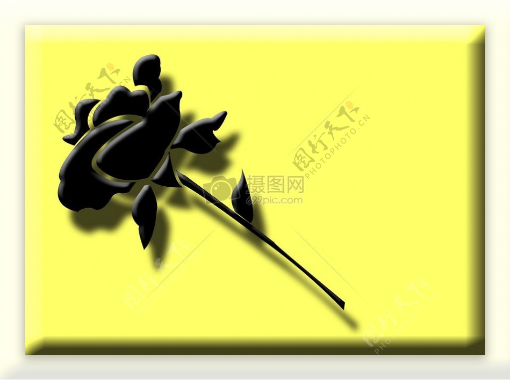 黄色背景的黑色玫瑰