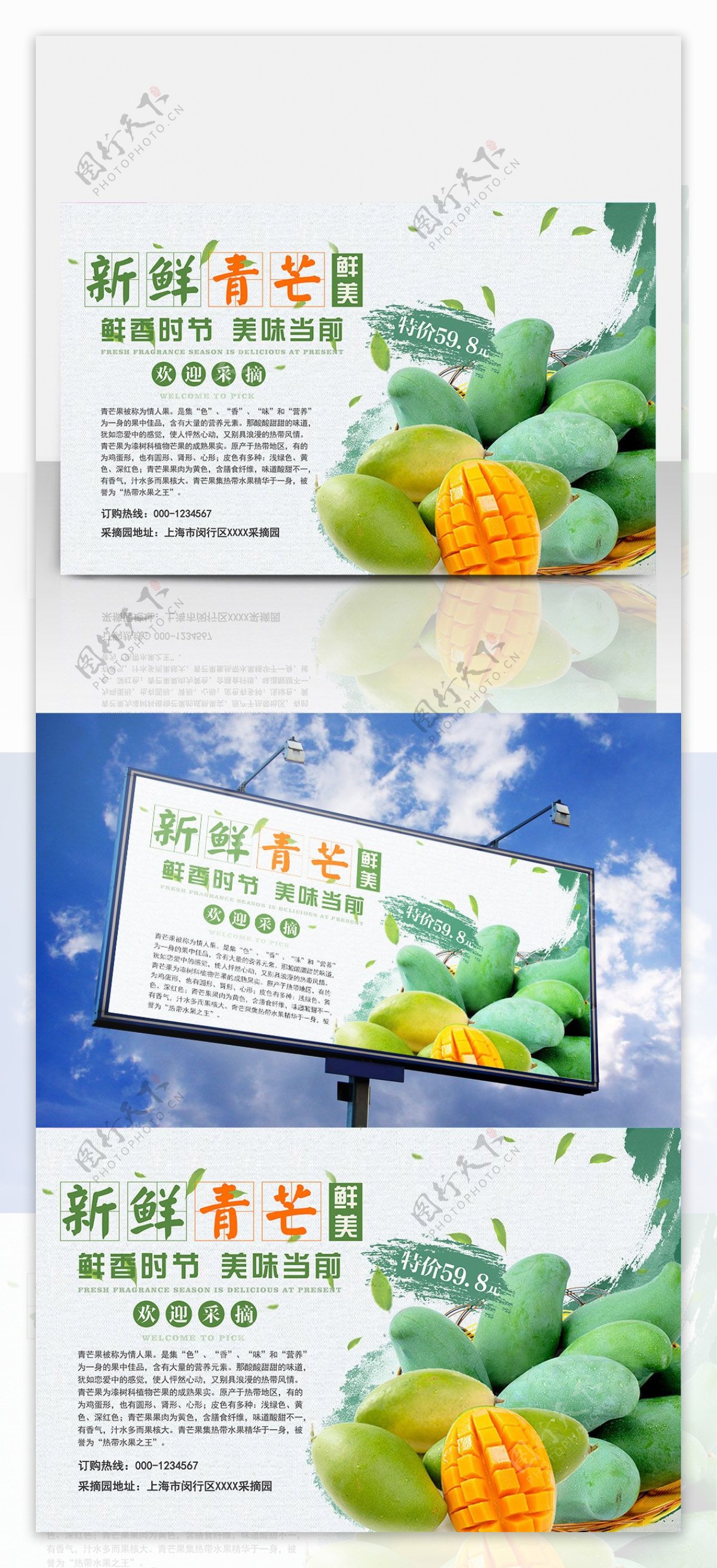 芒果夏季水果促销海报