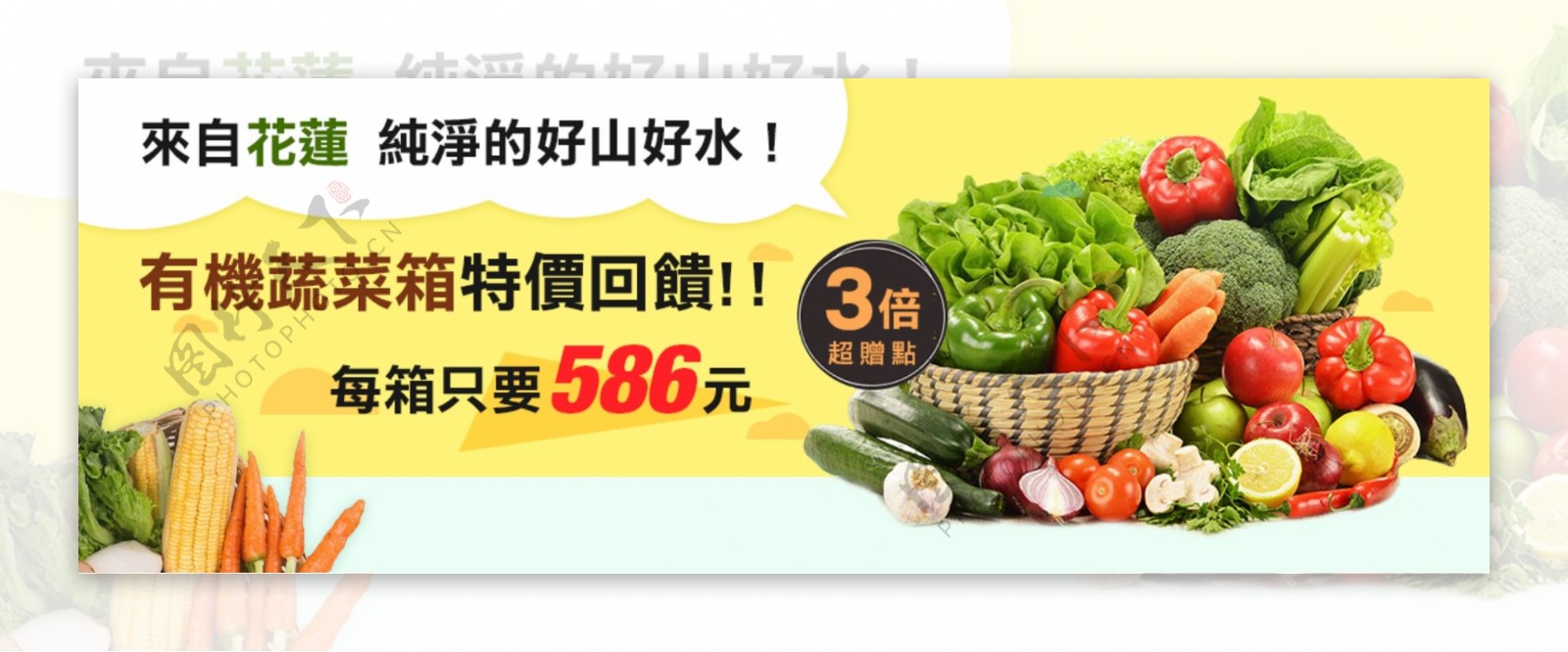 有机蔬菜箱banner
