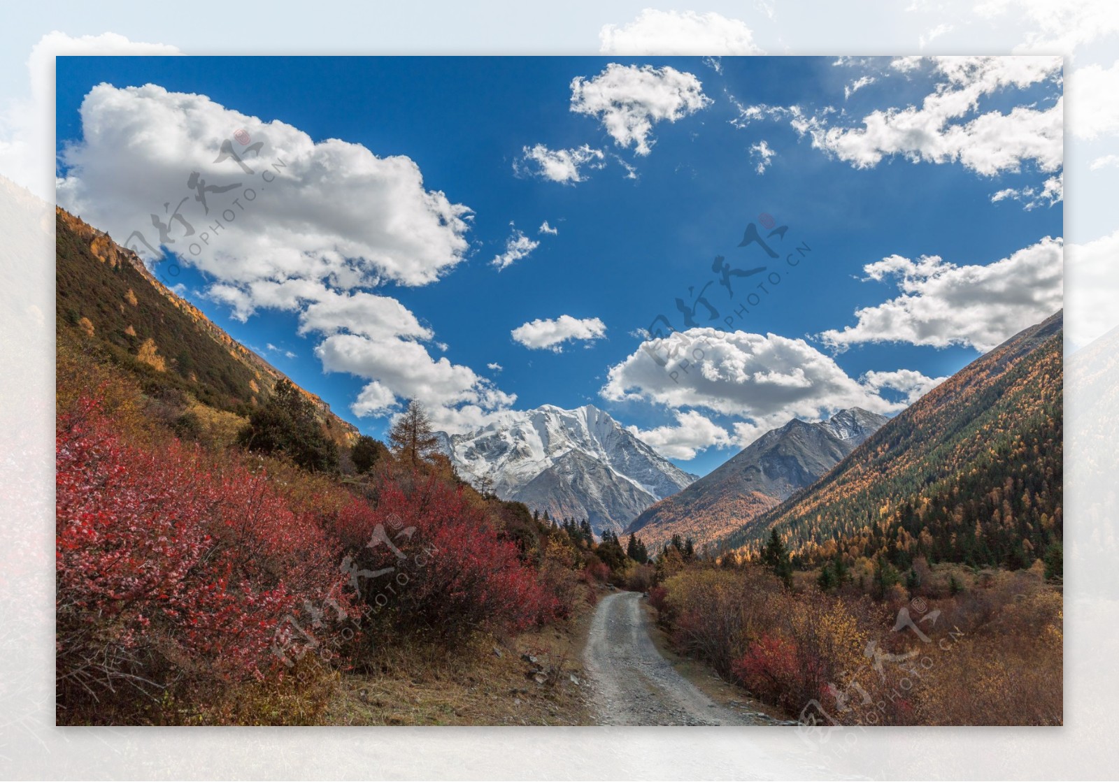 西藏亚拉雪山风景