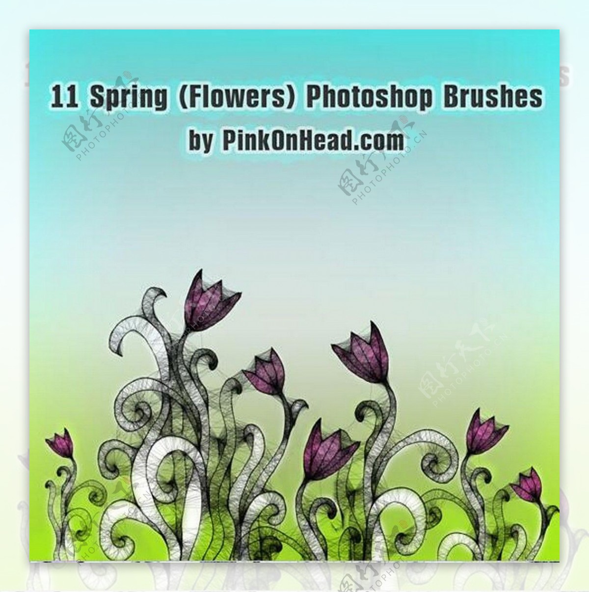 11款春季手绘花纹花卉PS笔刷