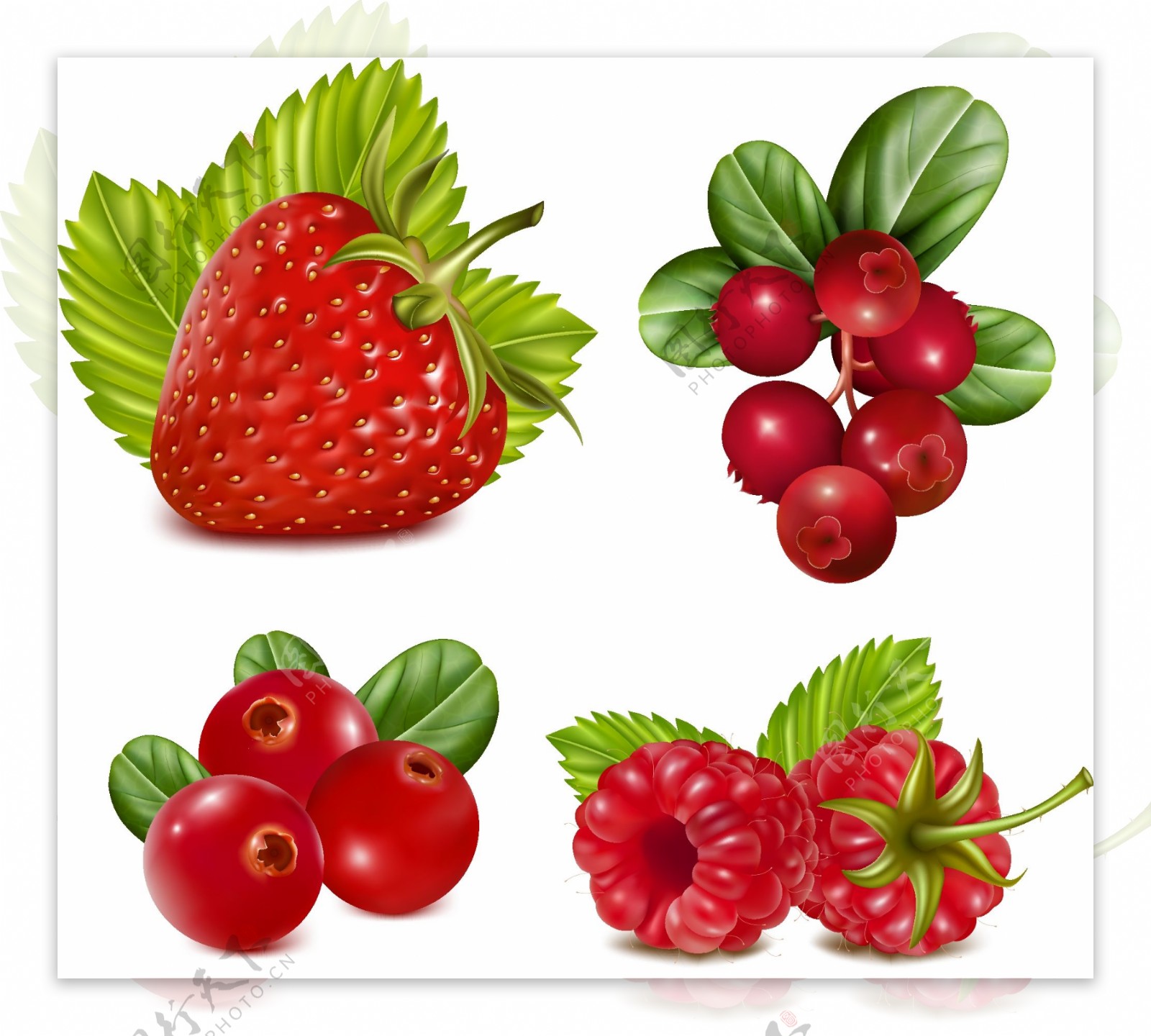 红色水果设计矢量素材