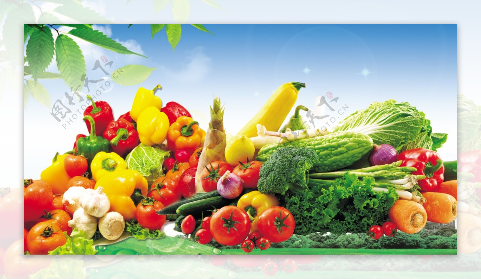蔬菜水果产品图片设计