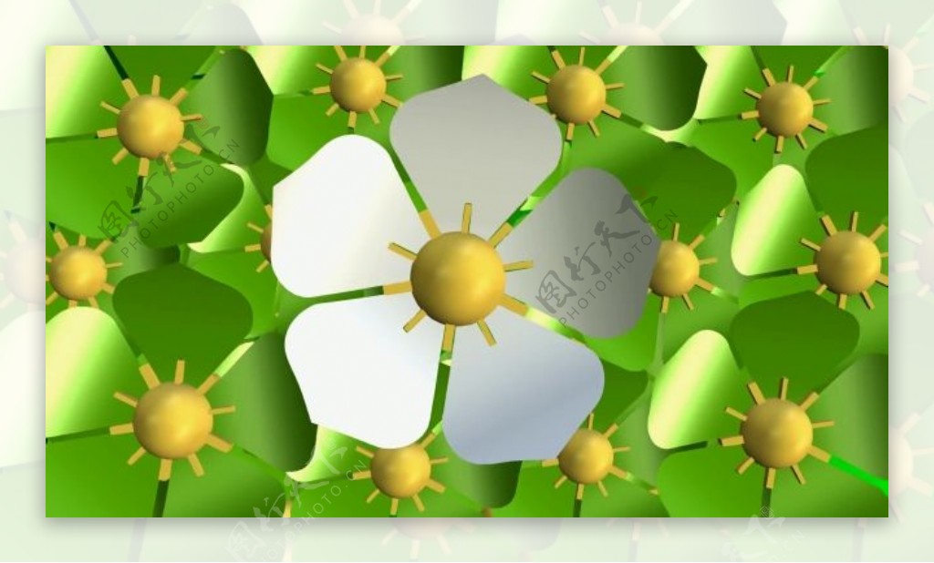 绿色花卉动画视频