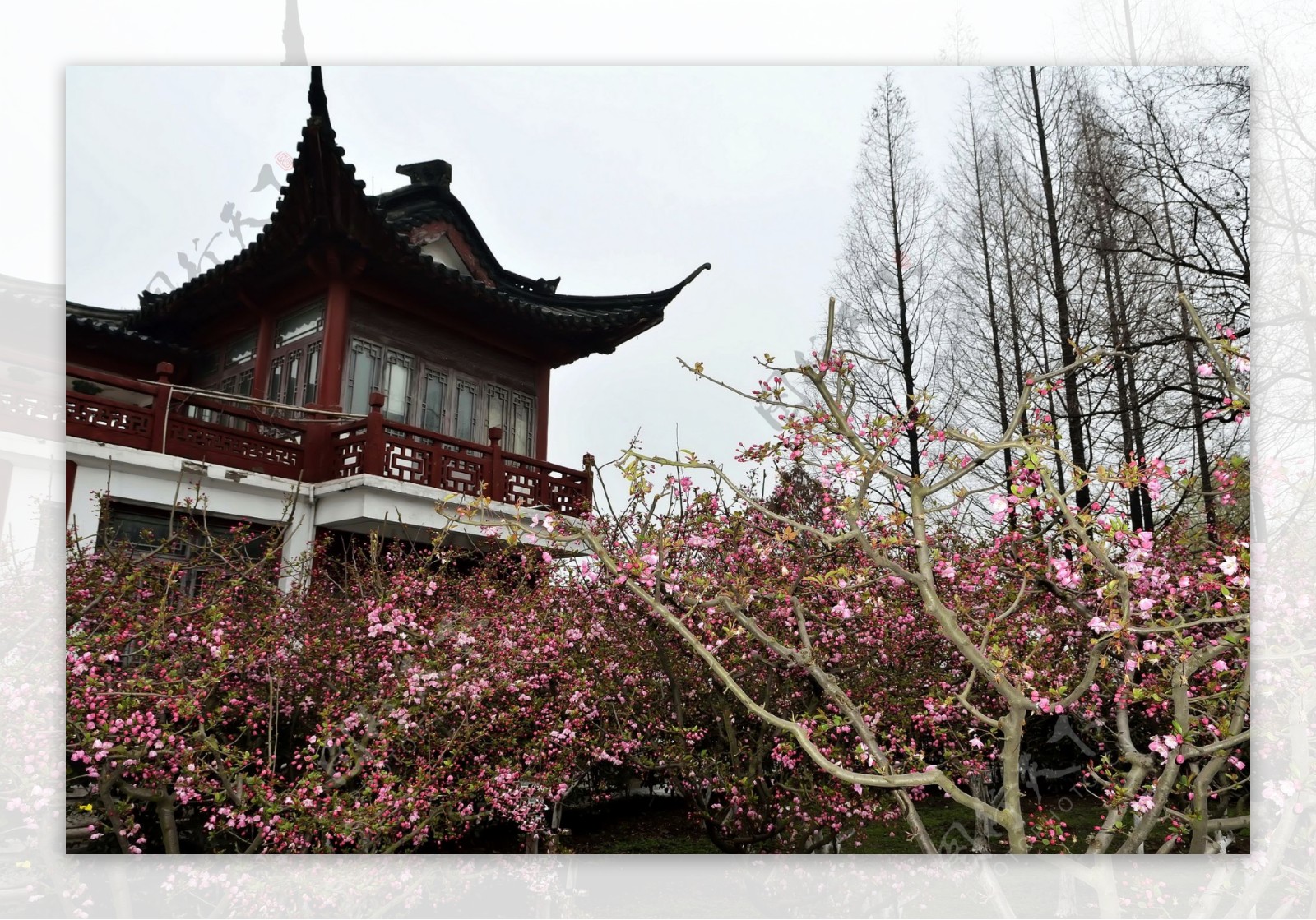 南京莫愁湖风景