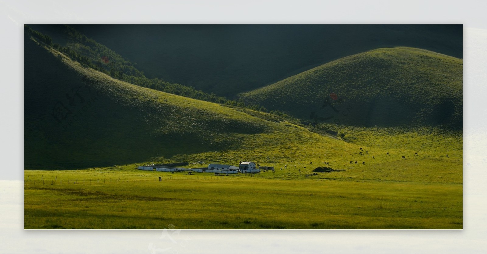 内蒙古科尔沁草原风景