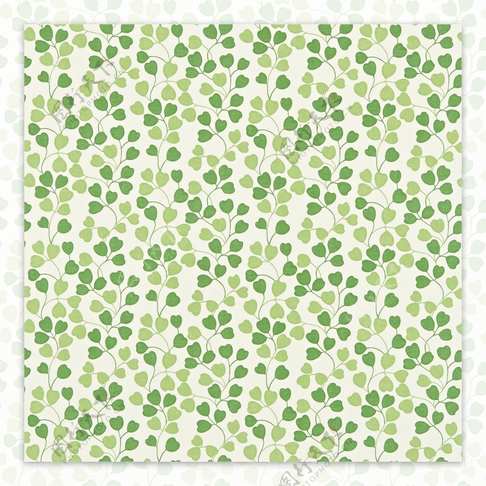绿色花瓣布纹壁纸图片