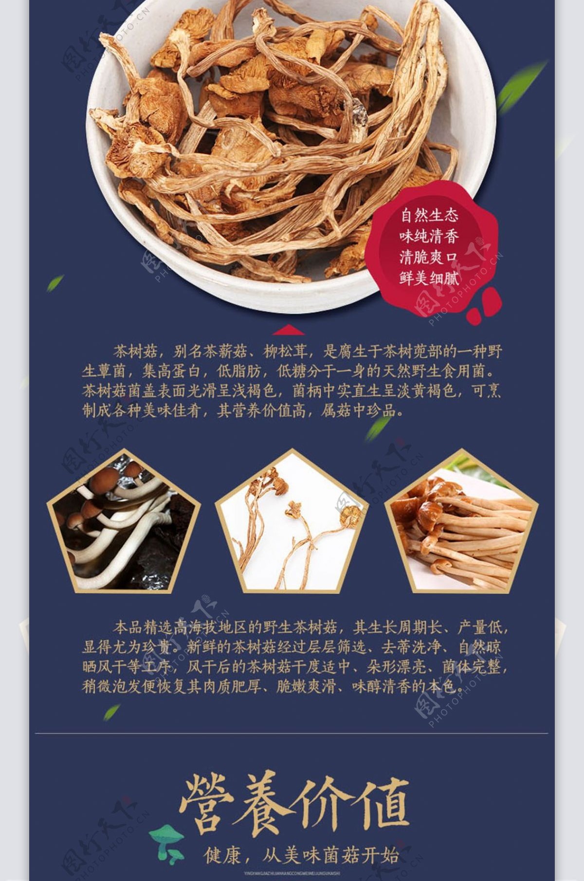 淘宝电商详情页模板菌菇茶树菇高原特产食品