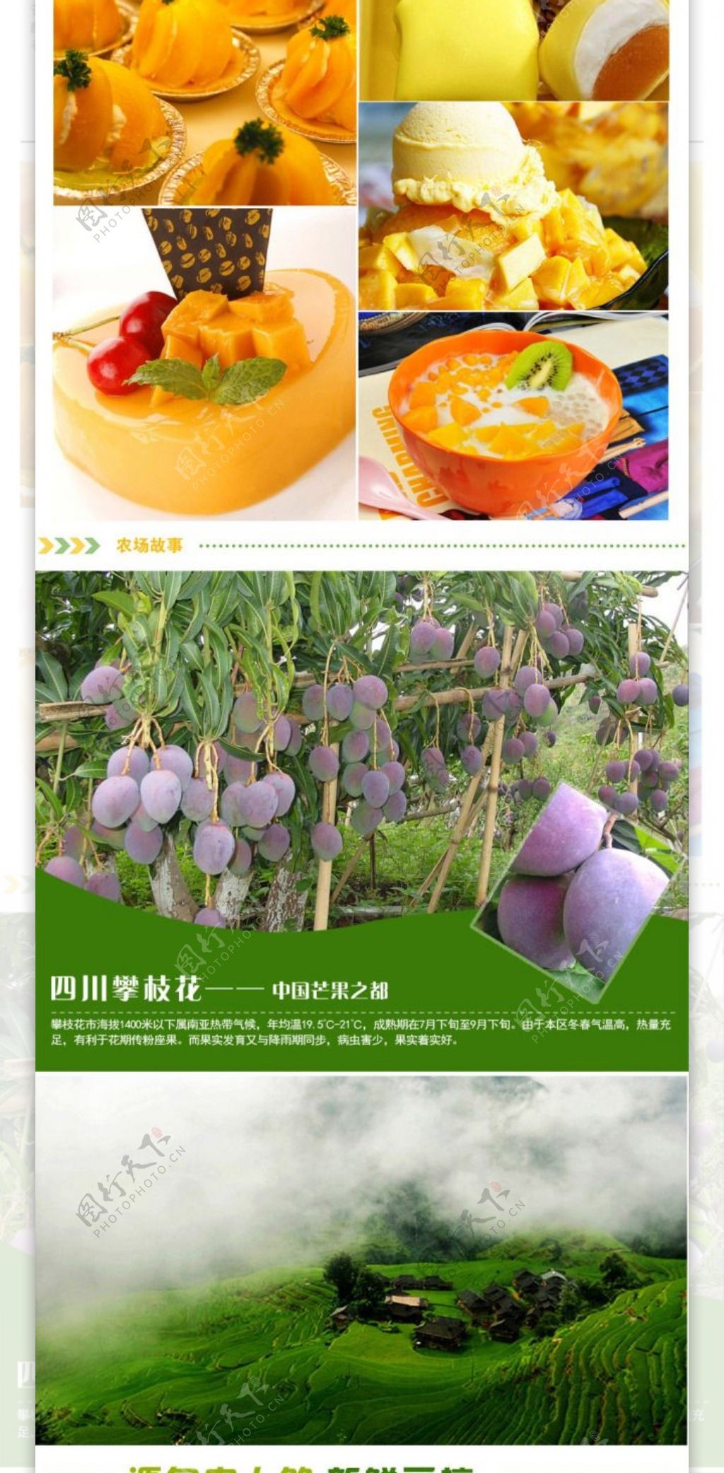 芒果水果食品美食详情页