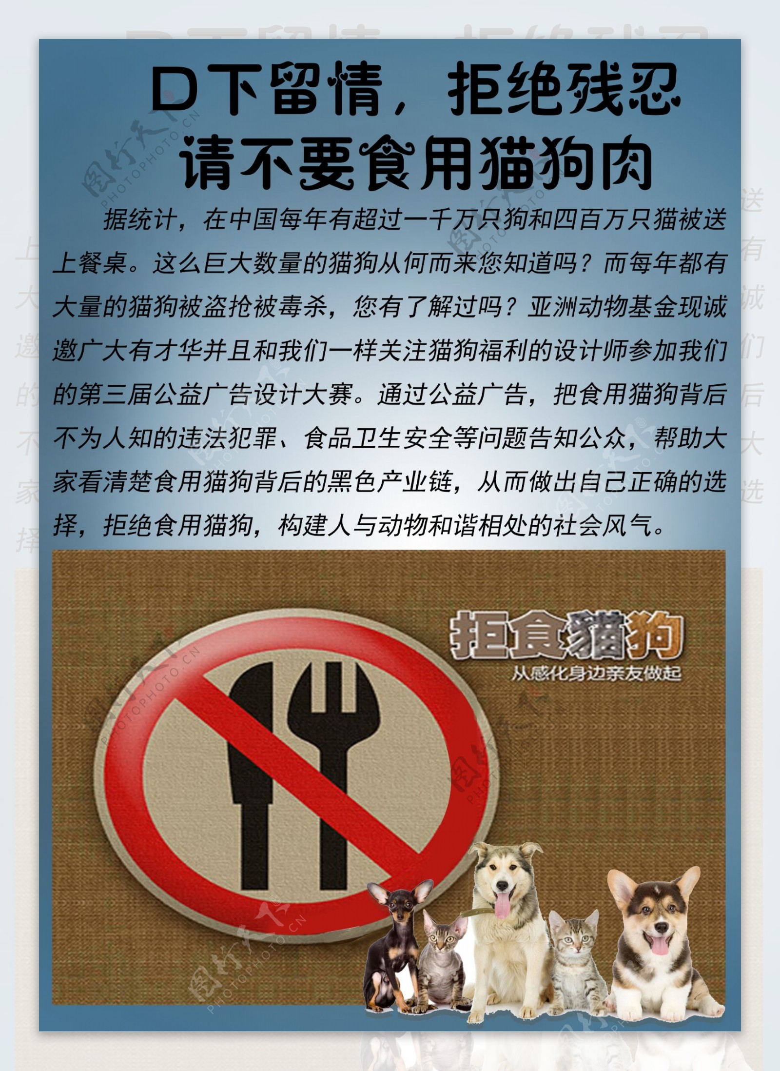 禁止吃猫狗海报