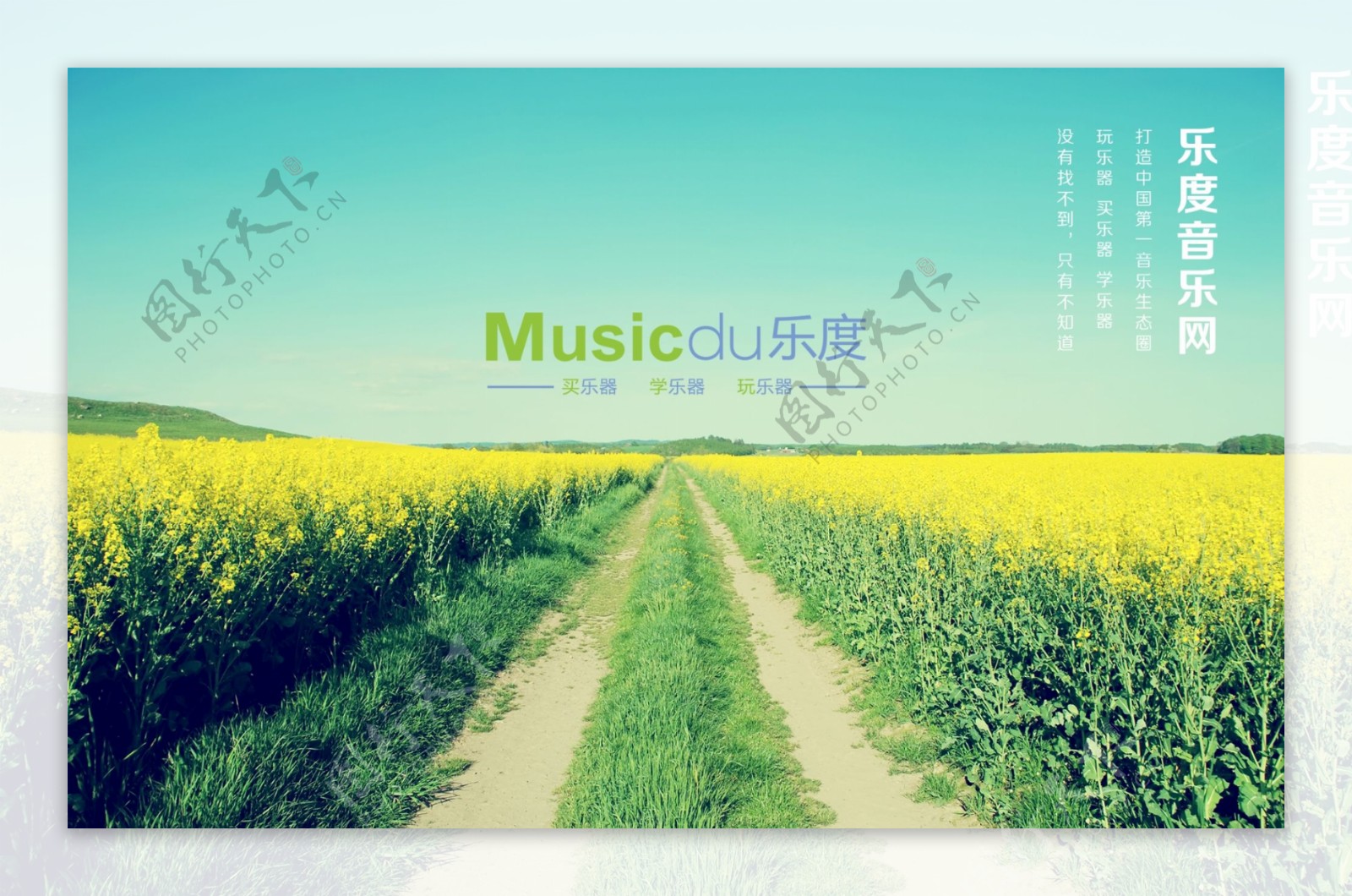 musicdu乐度油菜花的壁纸