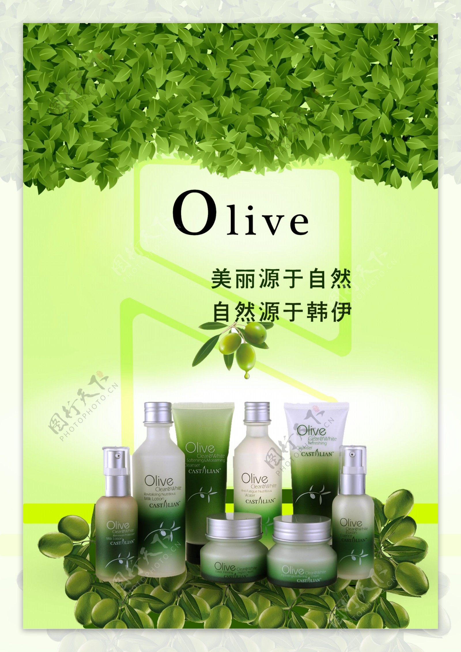 橄榄油护肤品图片