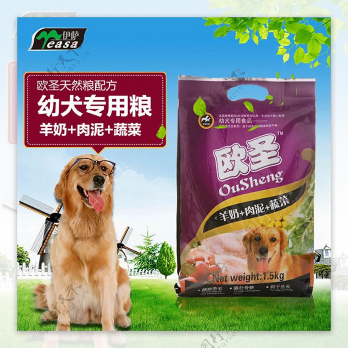 广告幼犬专用粮海报设计psd素材