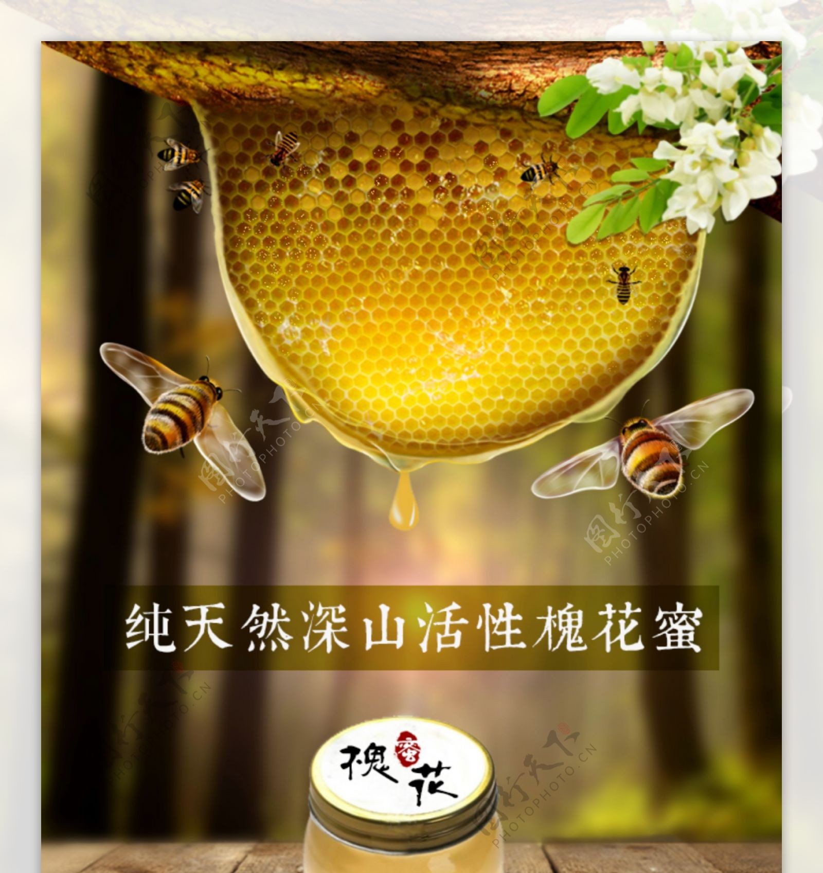 洋槐蜜蜂蜜食品农产品详情页