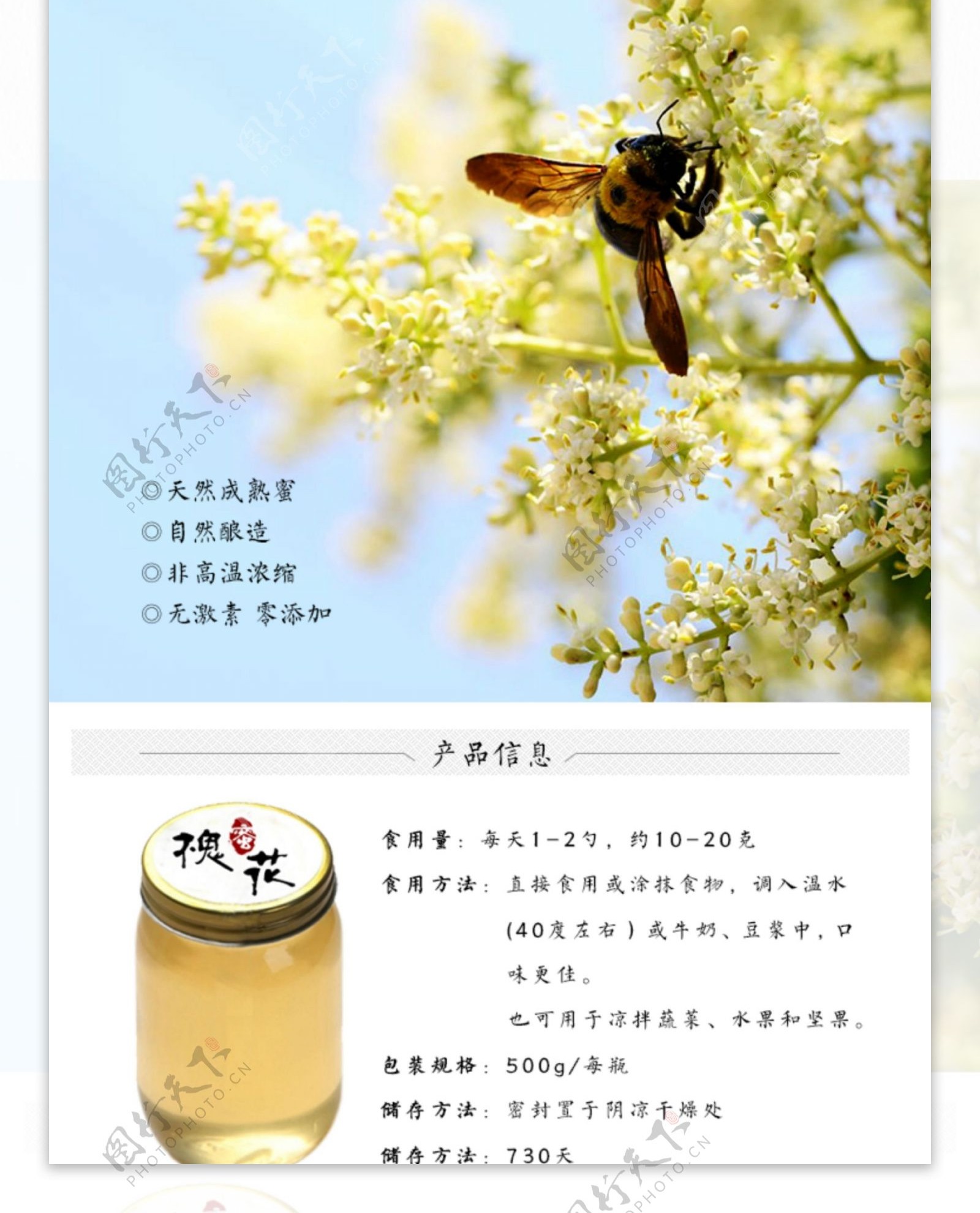 洋槐蜜蜂蜜食品农产品详情页