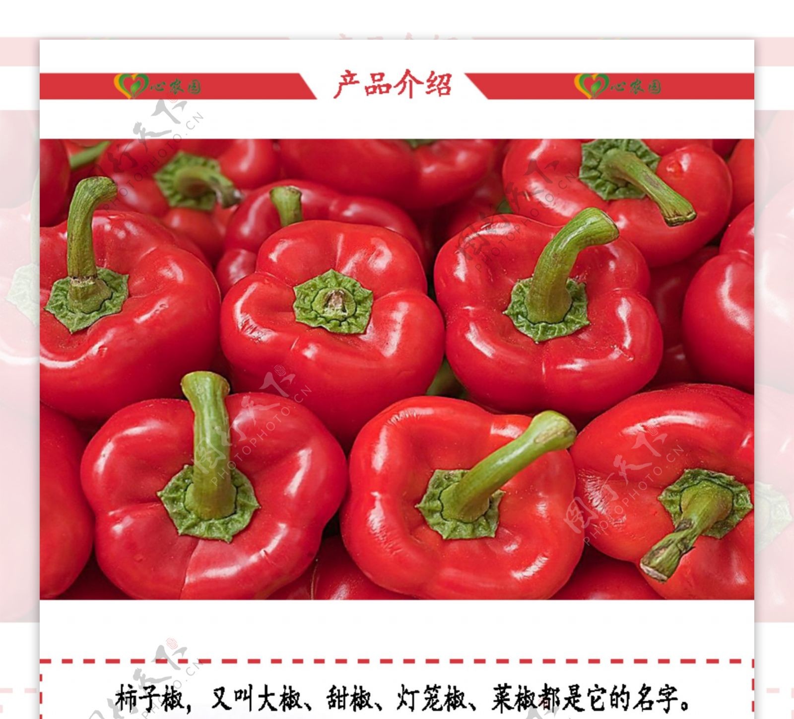 蔬菜柿子椒淘宝设计