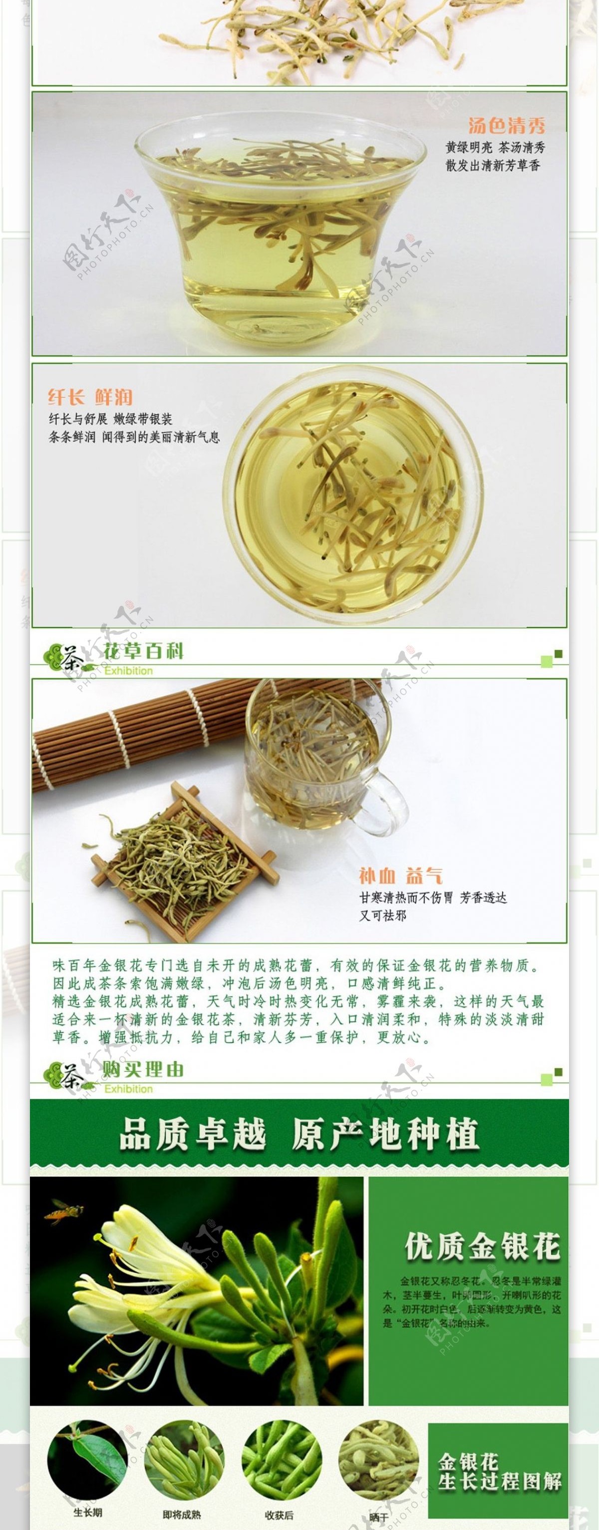 金银花网站