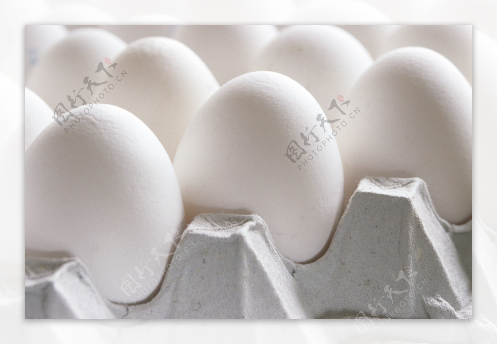 鸡蛋蛋类摄影图片