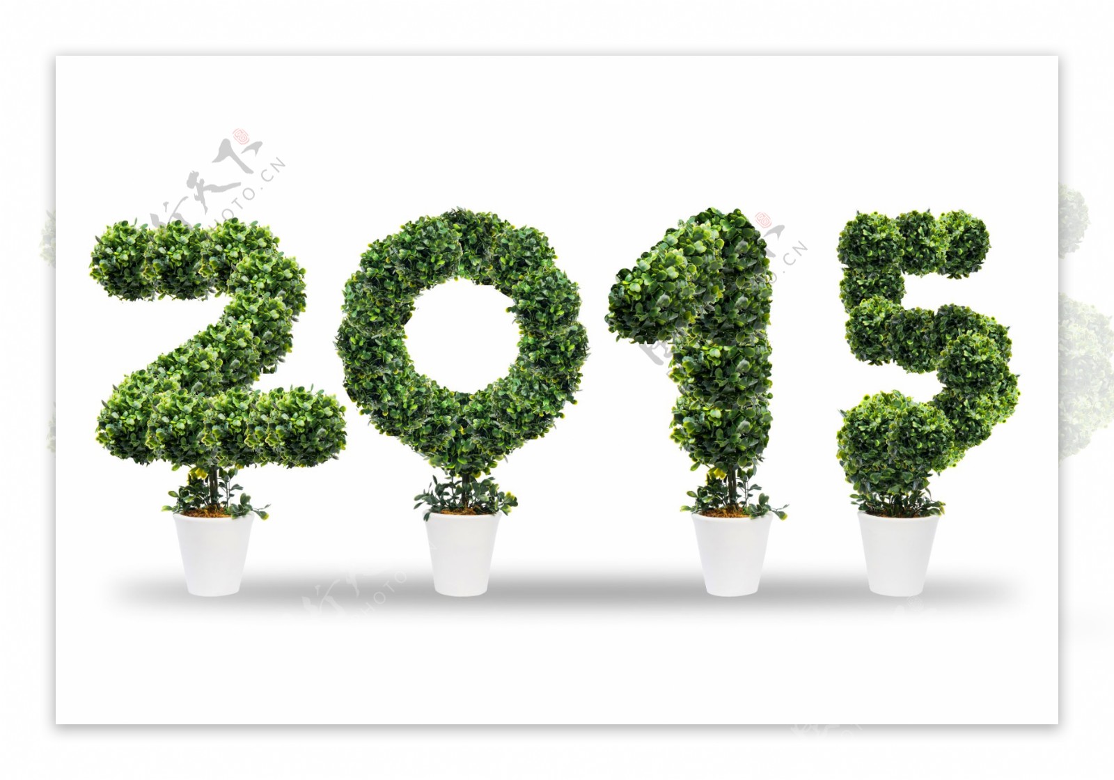 创意绿树2015图片