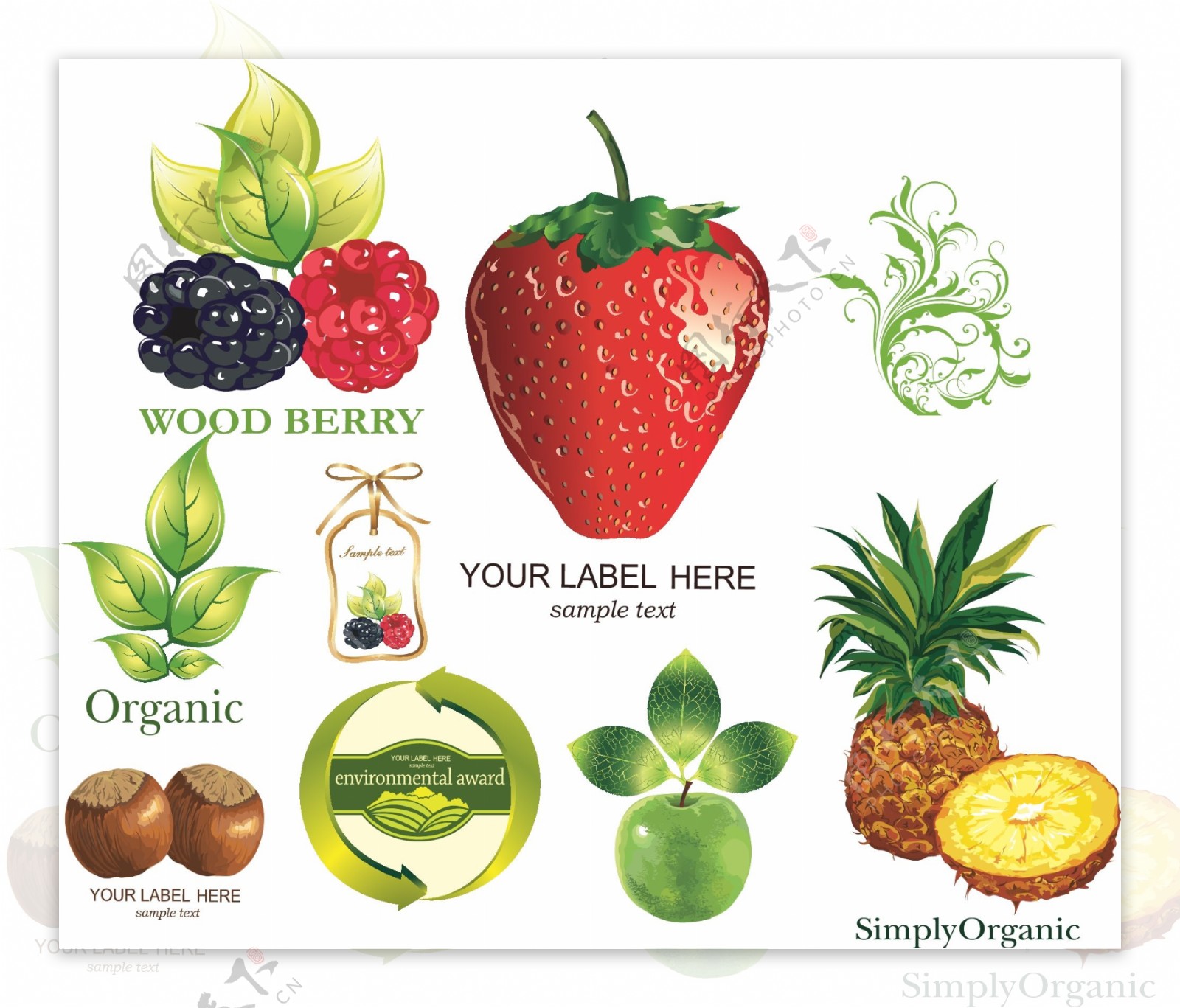 水果合集草莓菠萝矢量图ai格式下载