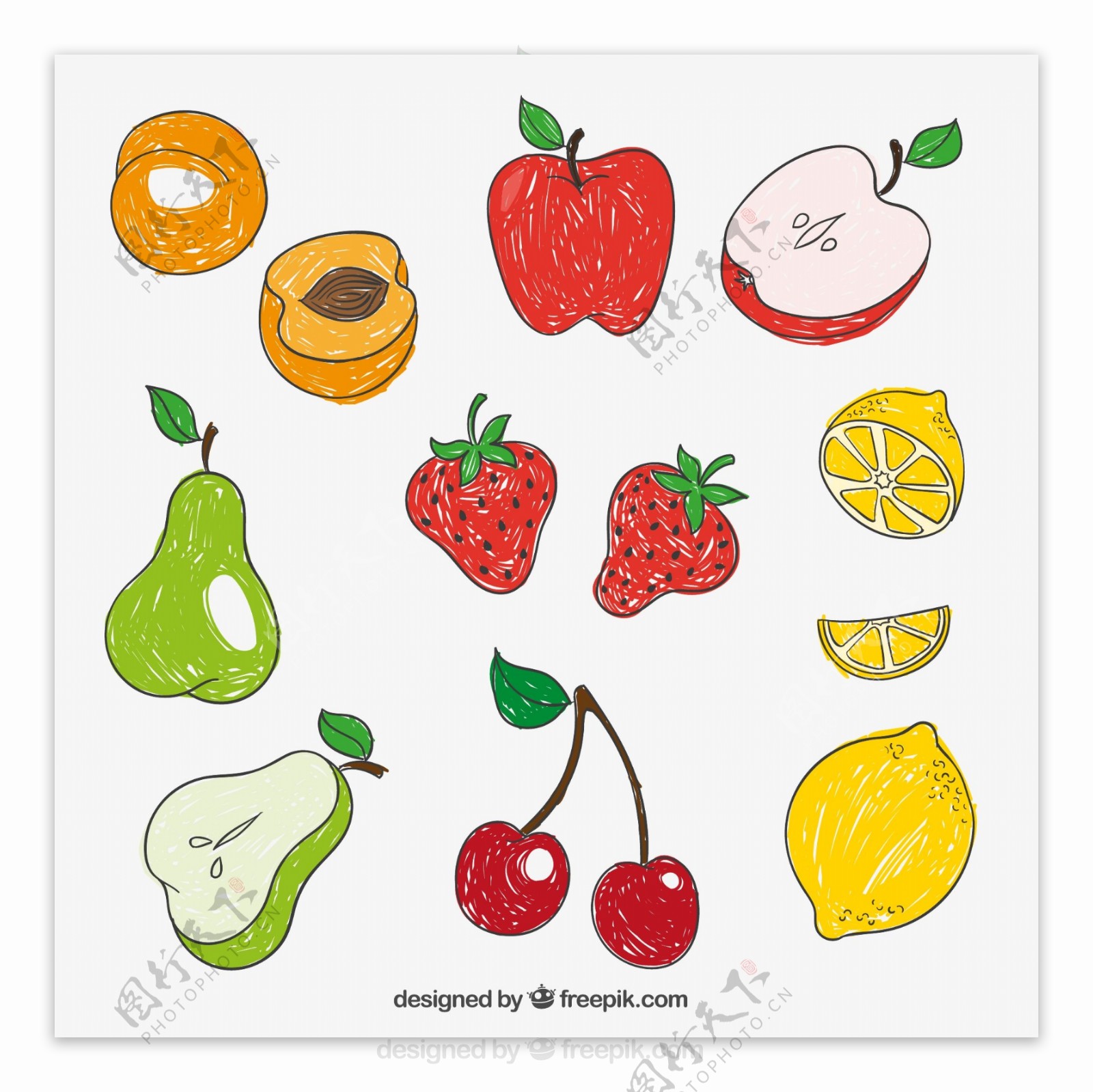 11款彩绘水果设计矢量图
