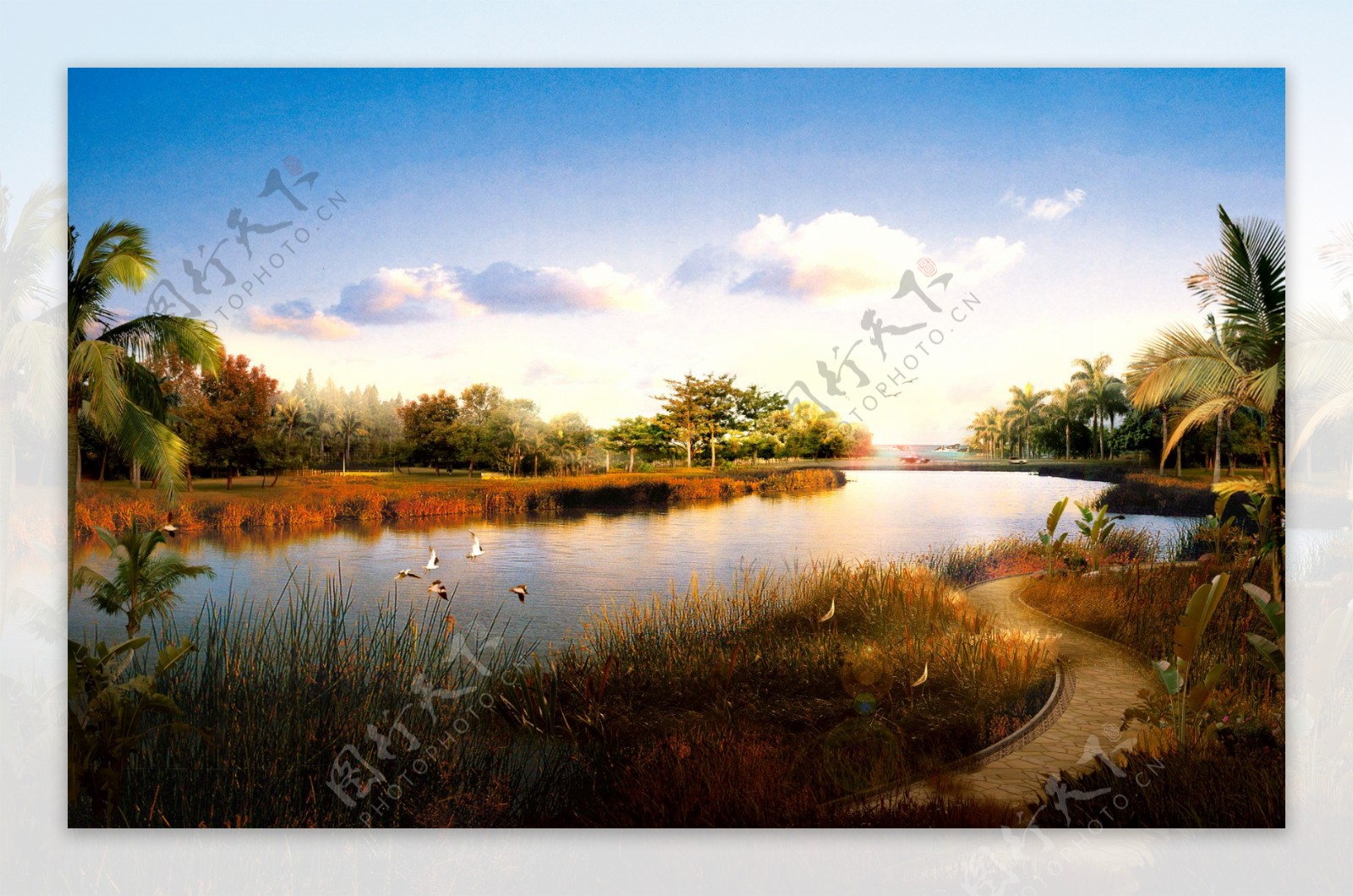湿地公园景观图片