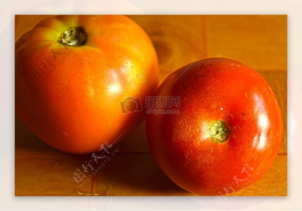阳光下的西红柿