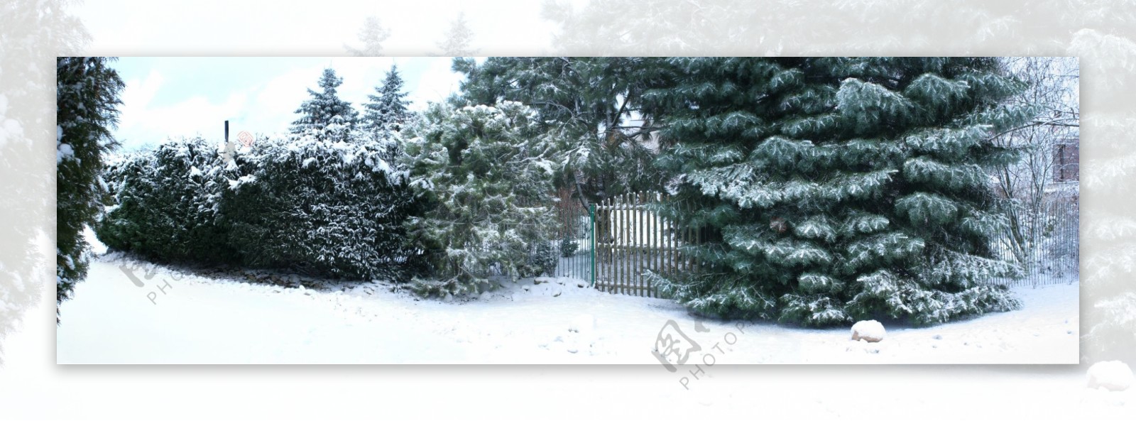 宽幅雪景摄影图片