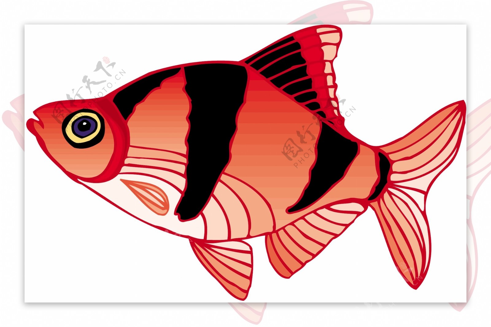 五彩小鱼水生动物矢量素材EPS格式0042