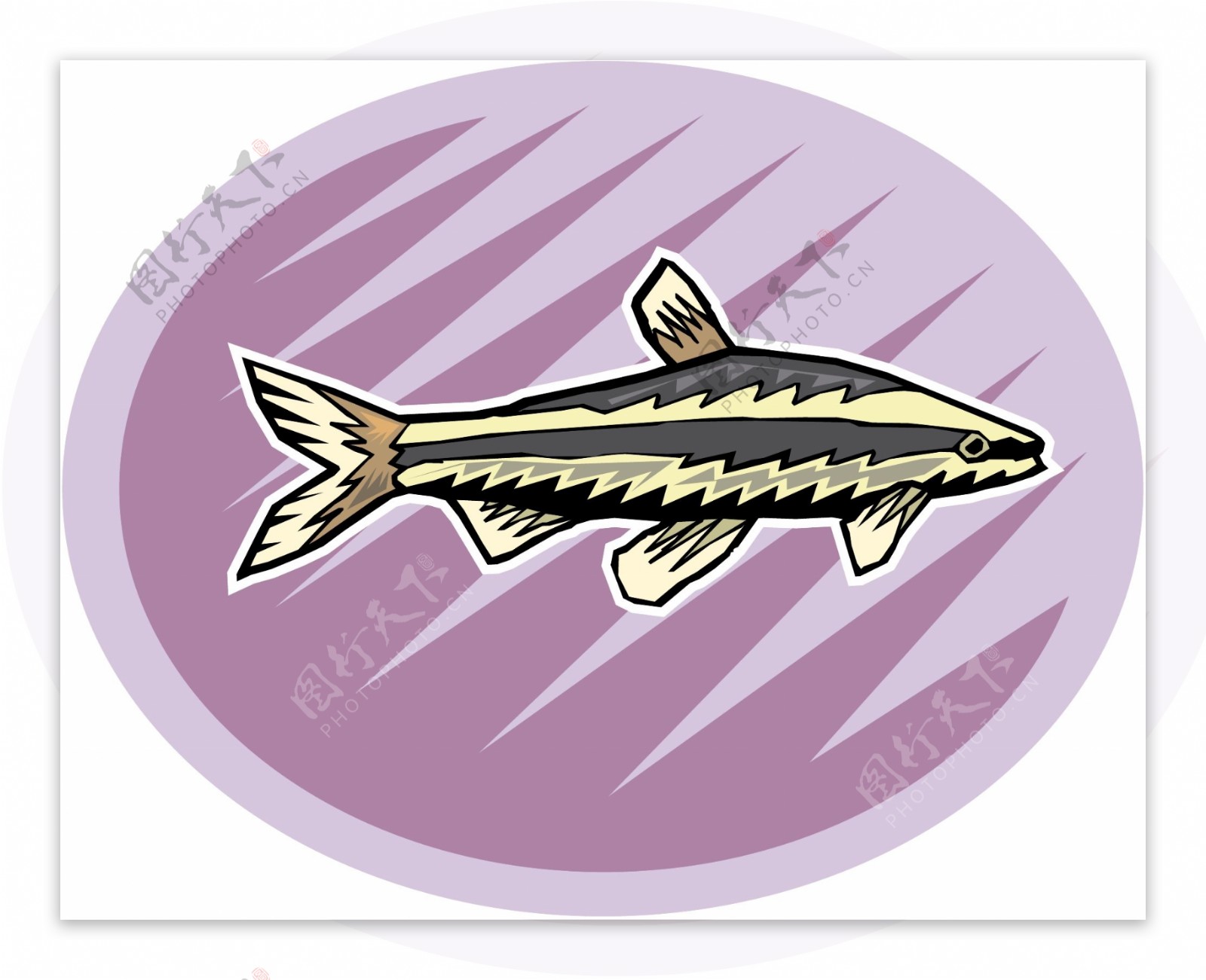 五彩小鱼水生动物矢量素材EPS格式0720