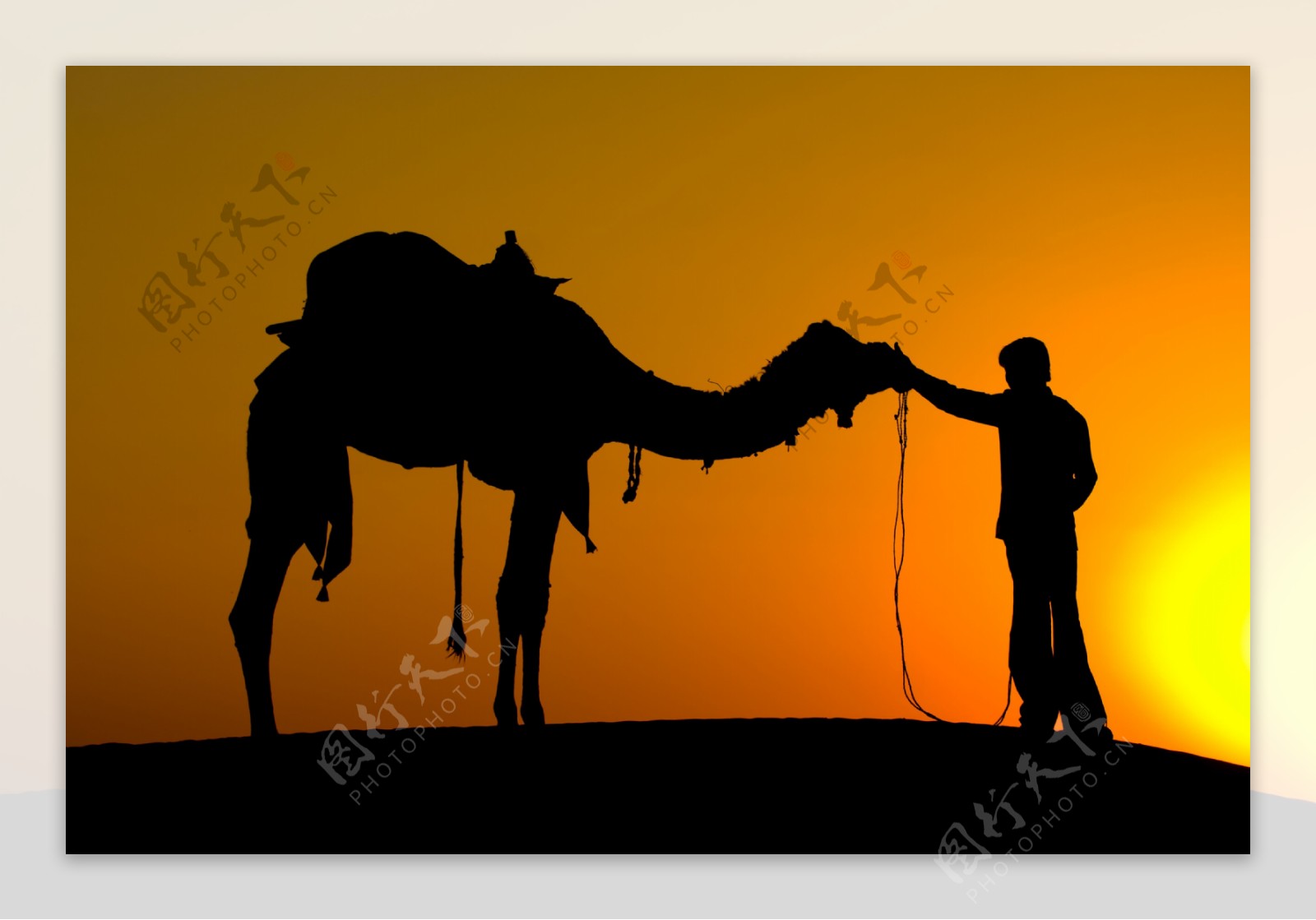 骆驼与人物剪影图片