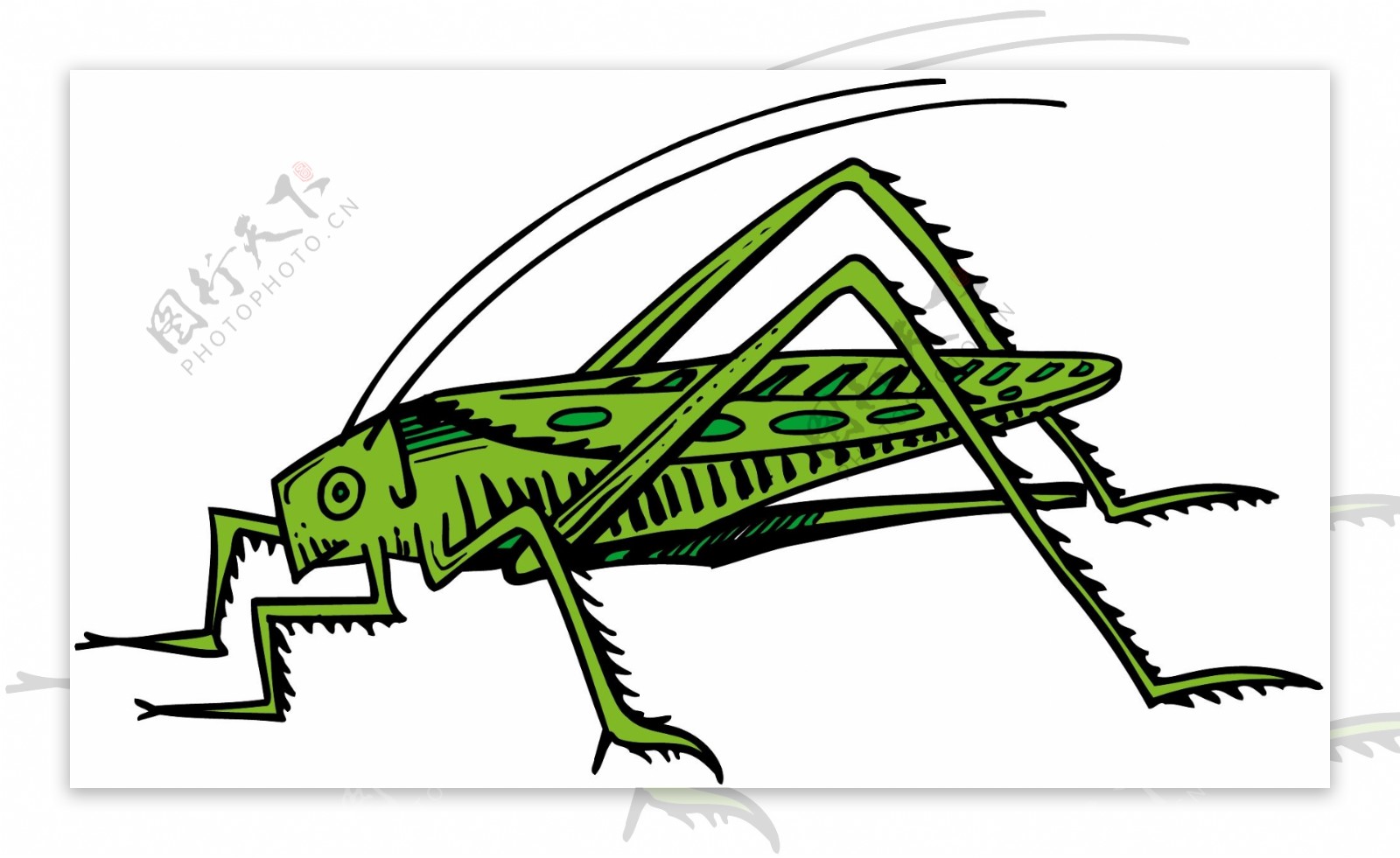 甲虫昆虫矢量素材EPS格式0204
