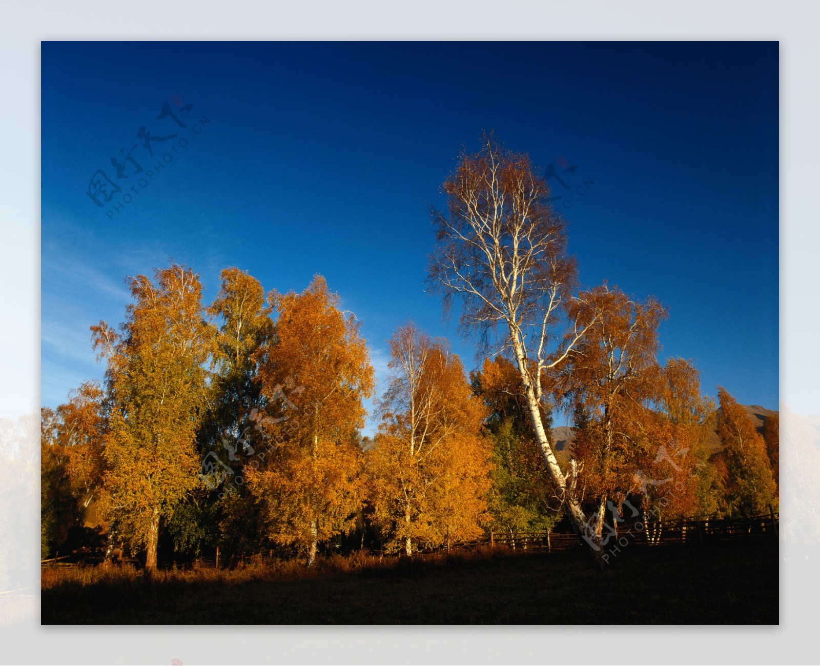 秋天自然风景图片图片