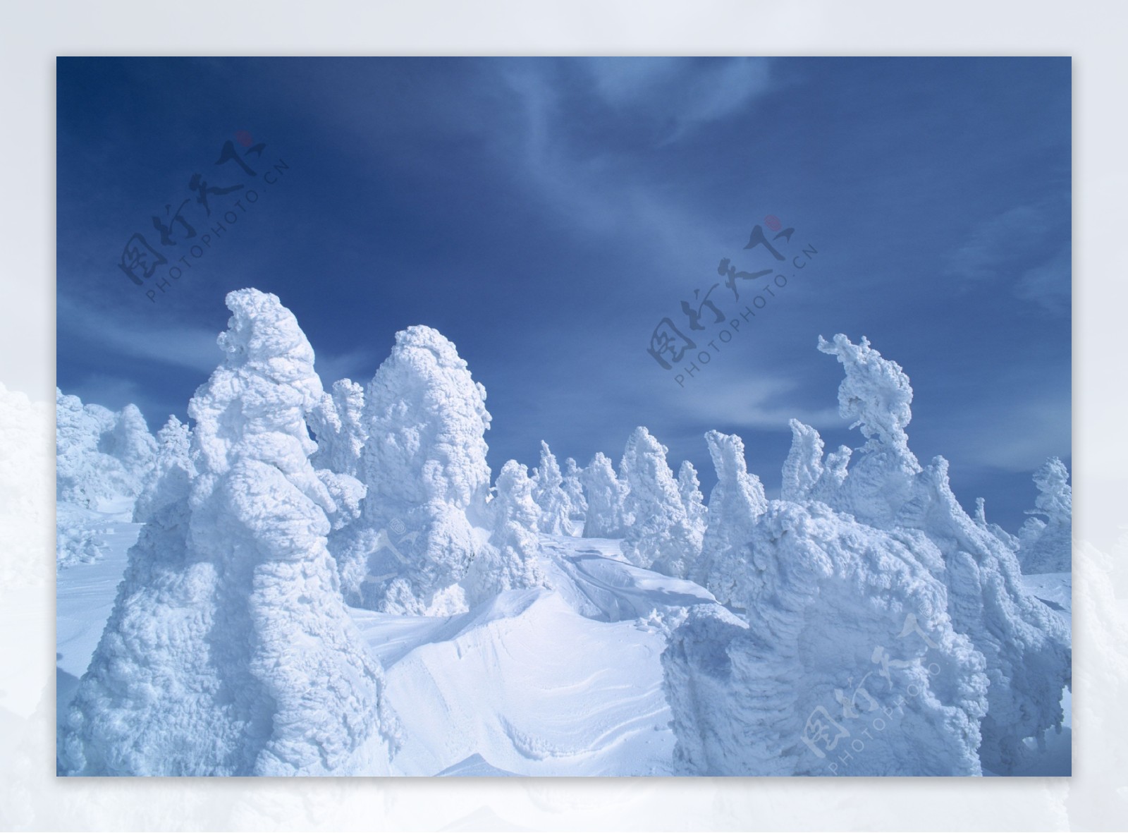 蓝天下一望无际的雪景图片