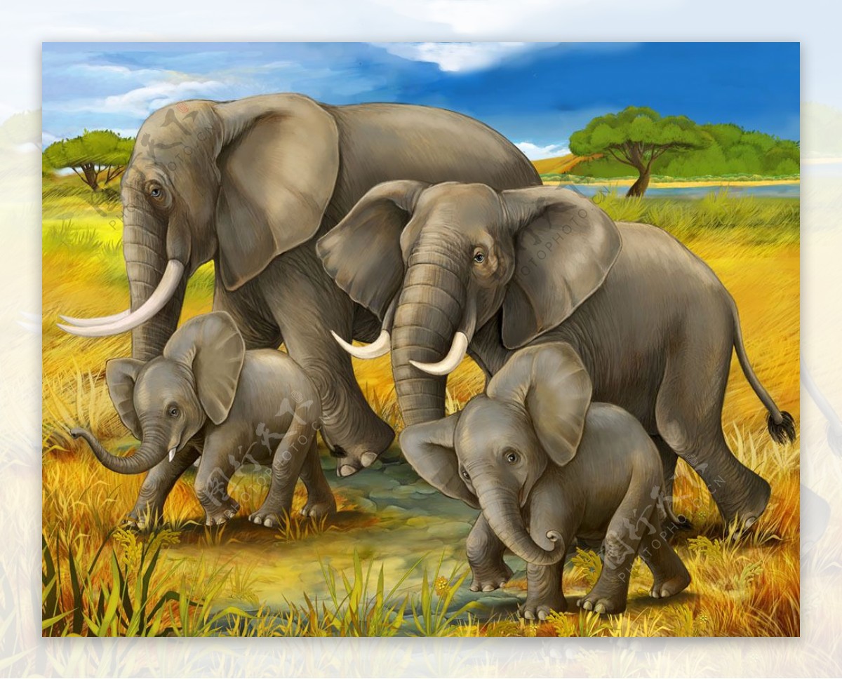 草地上的大象家庭图片
