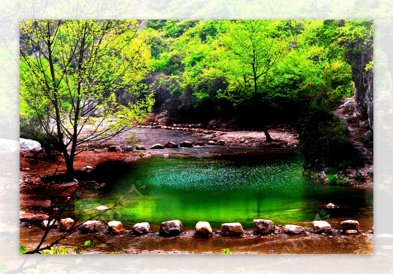 林中山水风景图片