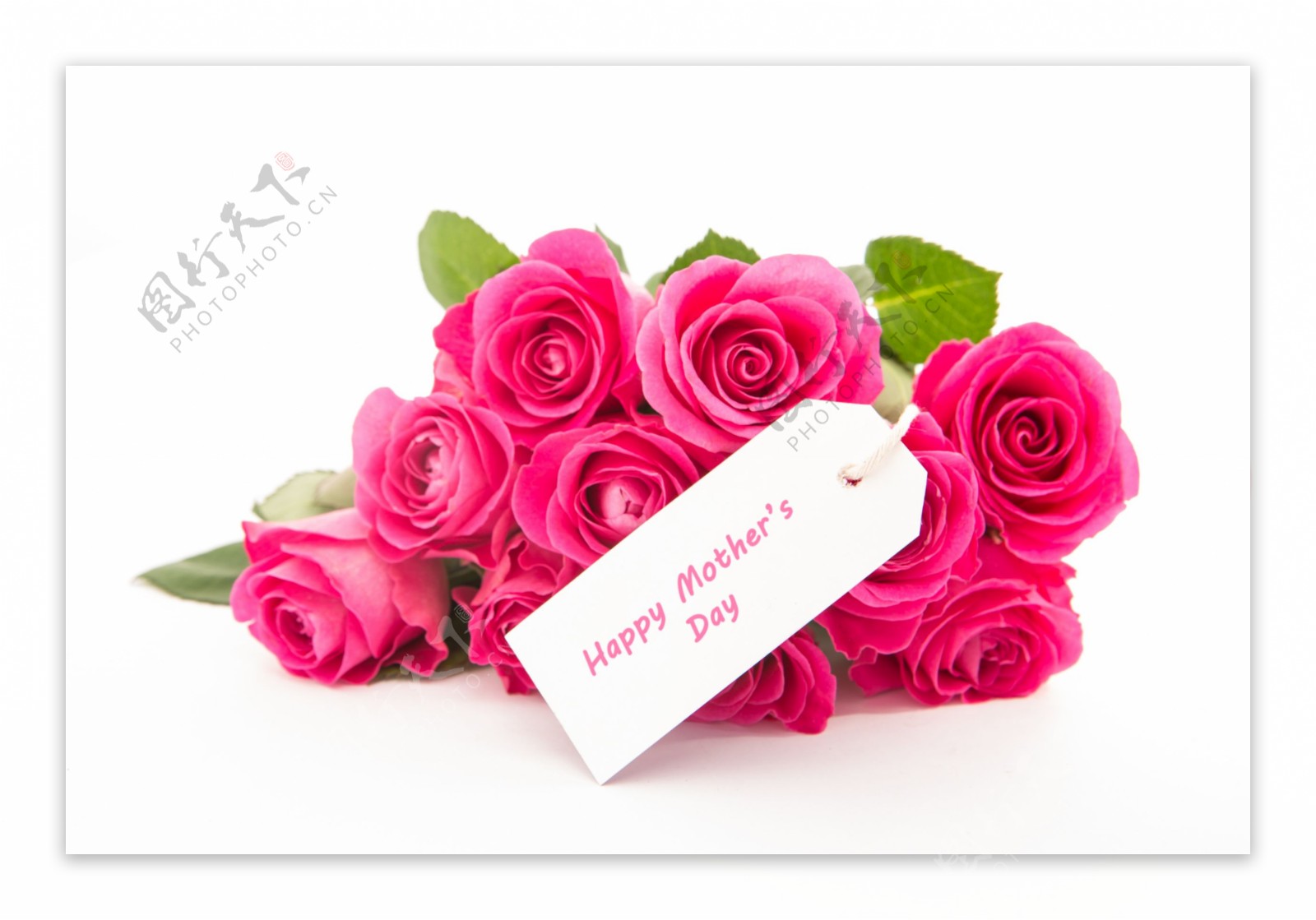 粉玫瑰与卡片图片