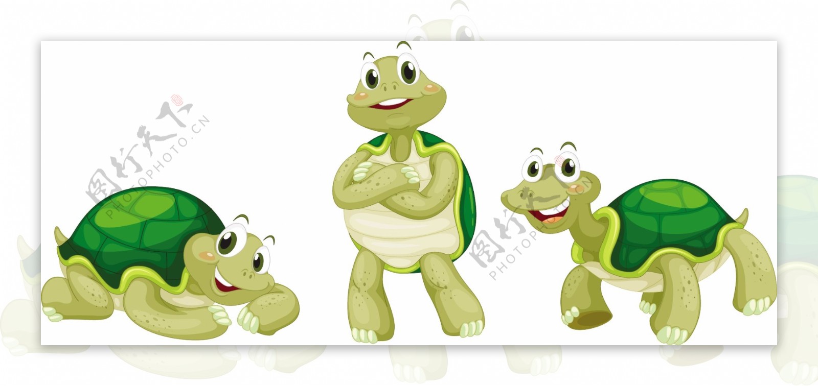 白色背景下海龟的插图