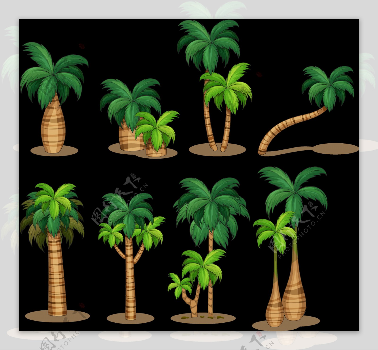 漂亮棕榈树椰子树免抠png透明图层素材