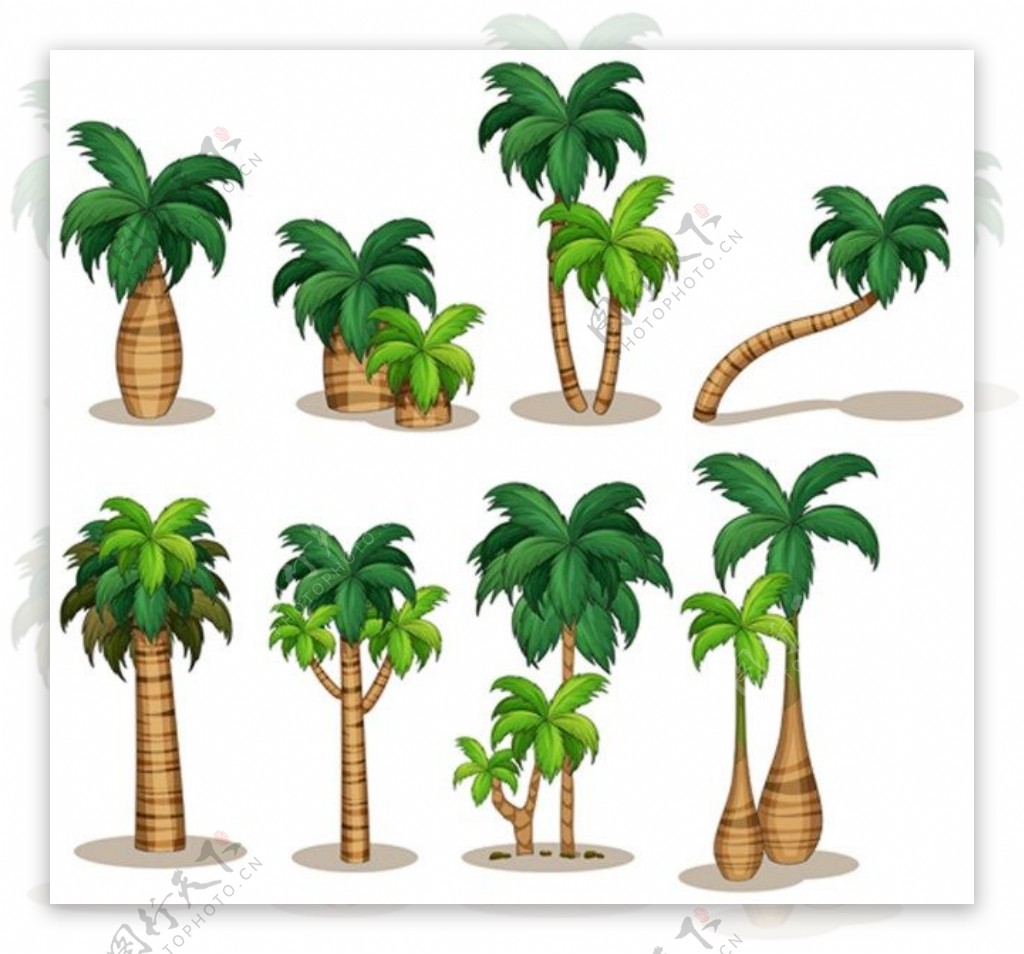 夏日椰子树矢量图