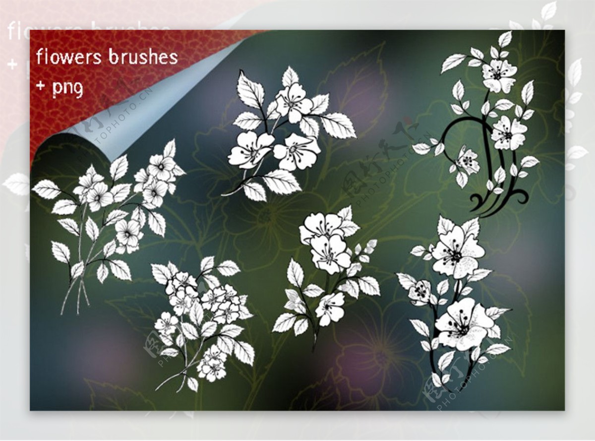 漂亮的鲜花花朵图案Photoshop花纹笔刷