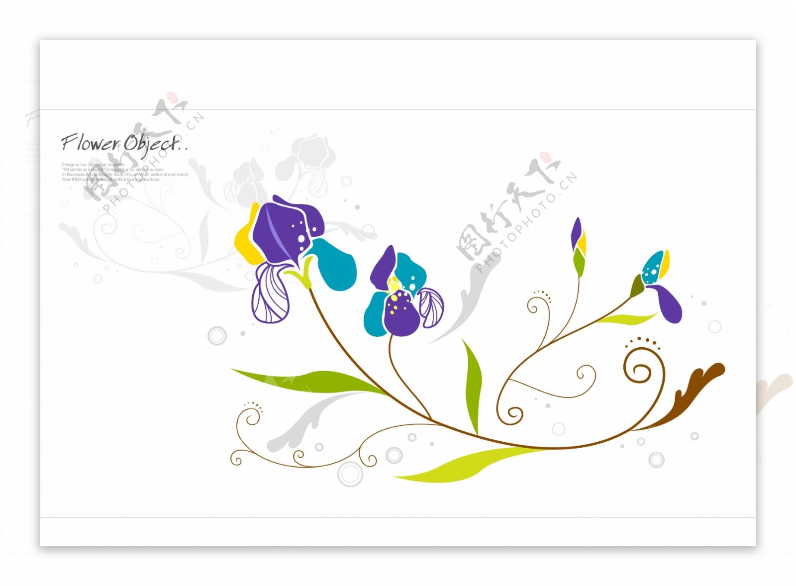 花卉图案设计图片