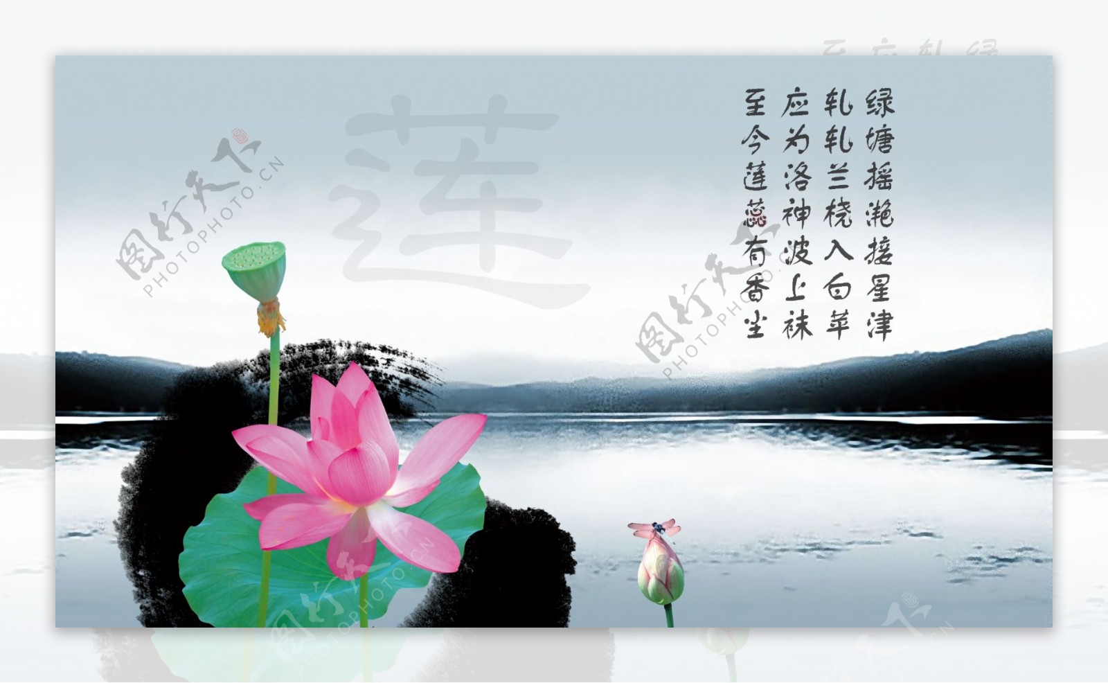 中国风莲花海报素材和中华文化艺术