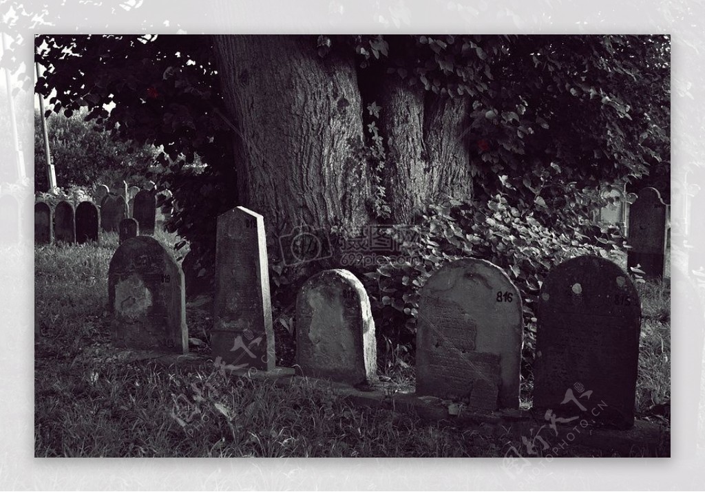 黑白照片之墓地